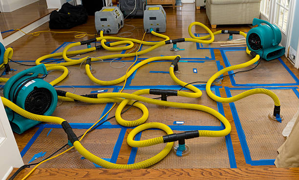 Professional Emergency Water Removal technician working in Minden, IA